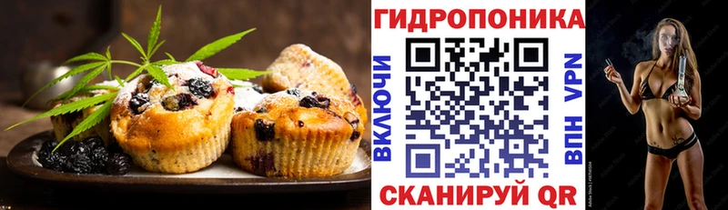 Canna-Cookies марихуана  Олёкминск 